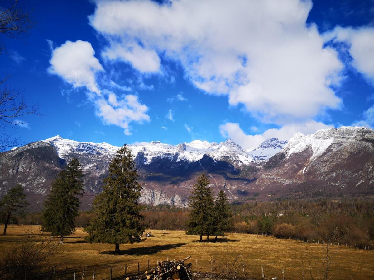 Apartma Janja Apartment Bovec